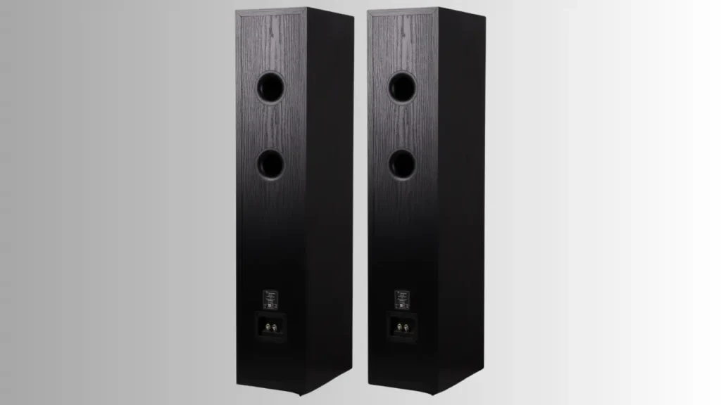 Back view of Radiotehnika Alfa 1.02 Floorstanding Speaker