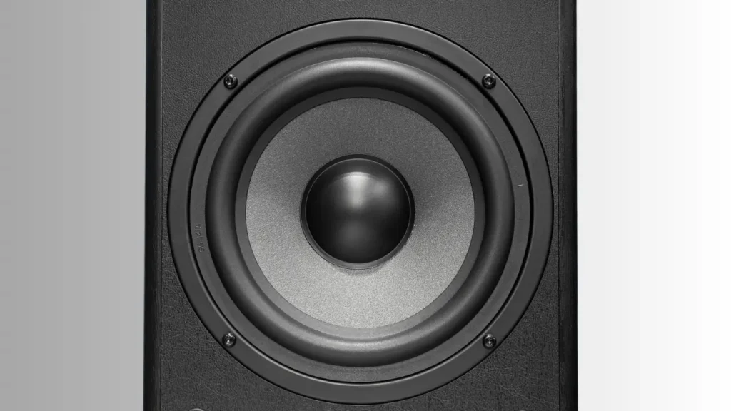 Close view of Radiotehnika Alfa 1.02 Floorstanding Speaker Driver