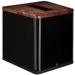 View of MartinLogan BalancedForce 212 subwoofer