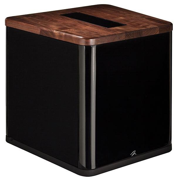 View of MartinLogan BalancedForce 212 subwoofer